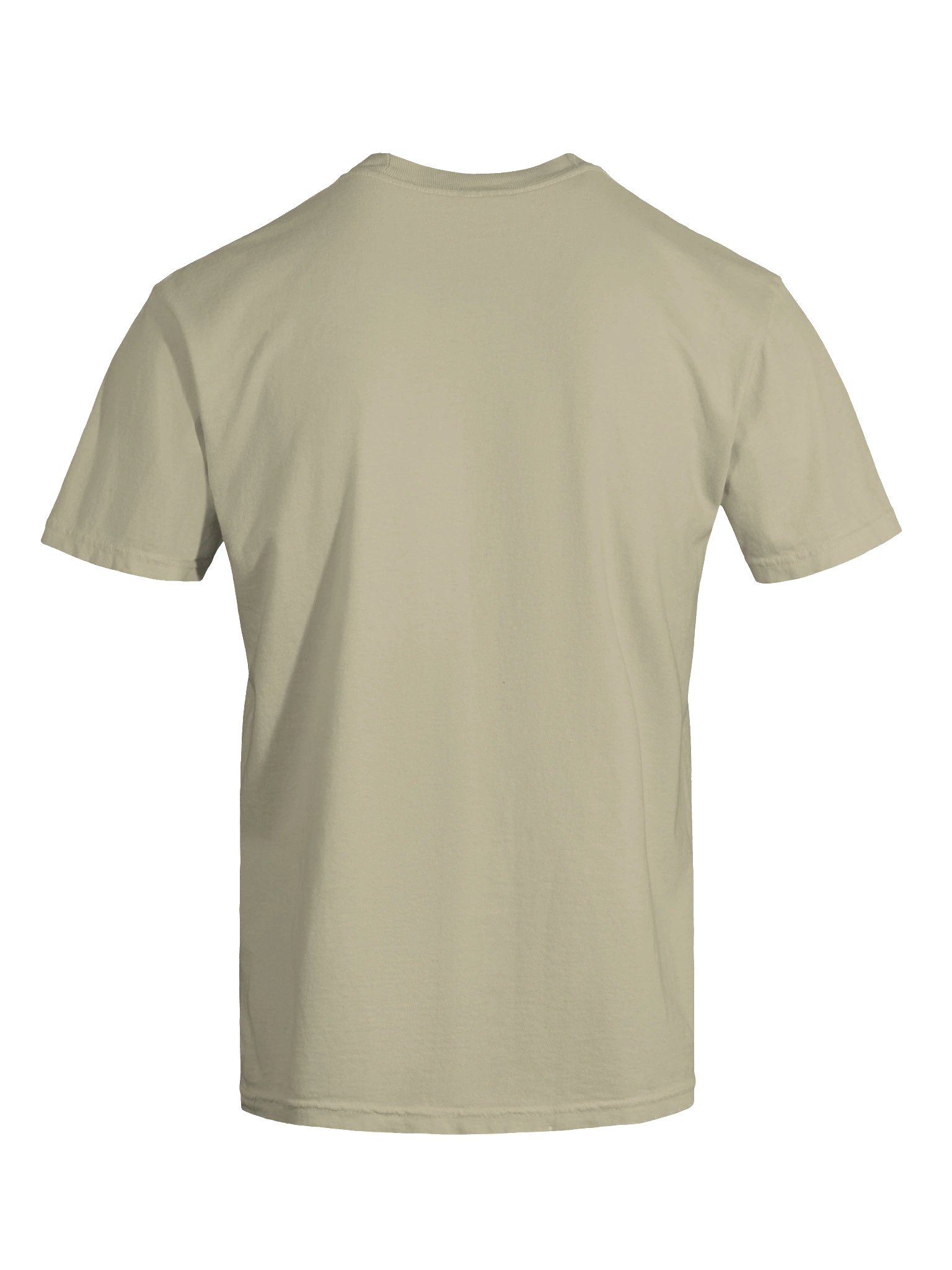I’ve Got Everything I Need Dog Lover Tee product image (56)