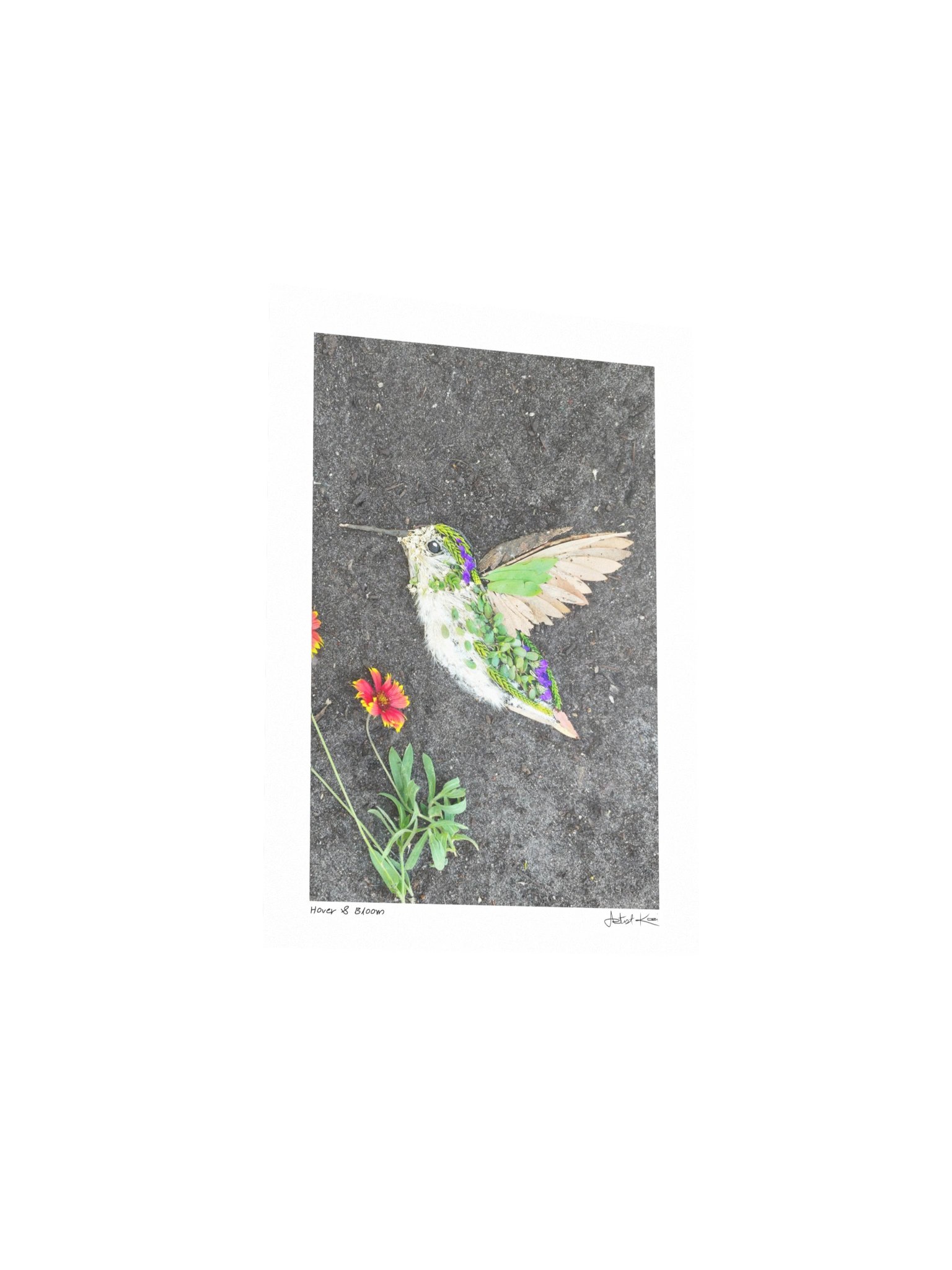 HOVER & BLOOM | Mini Print product image (3)