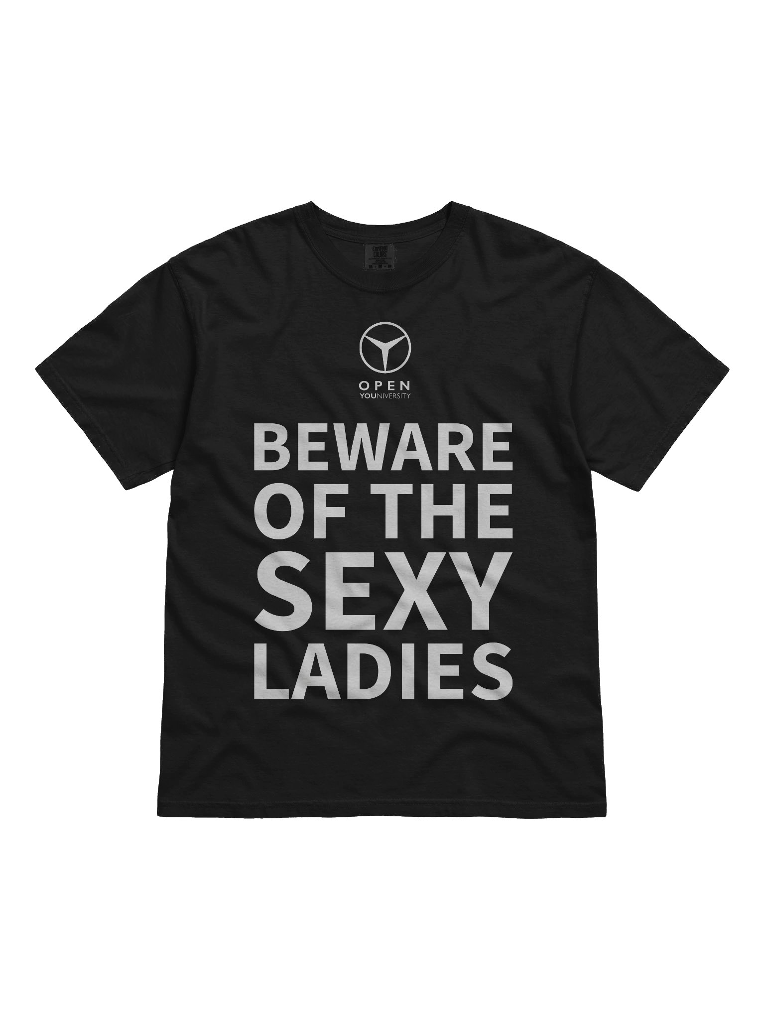 BEWARE OF THE SEXY LADIES product image (3)