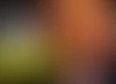 Donald Trump's tag thumbnail
