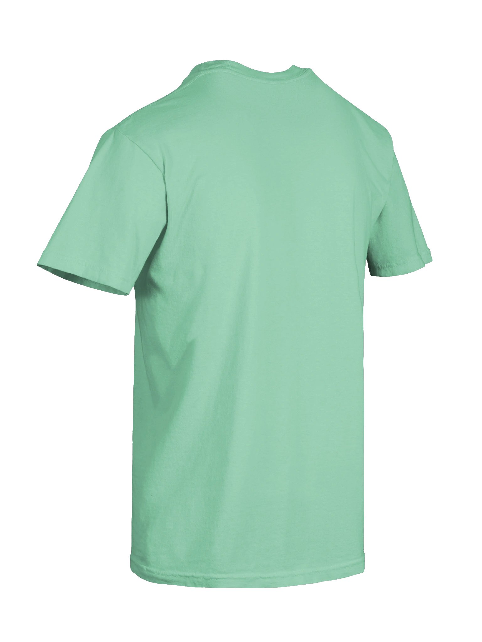 Bug Band Adult Unisex Embroidered Tee Centered GoldBug product image (80)