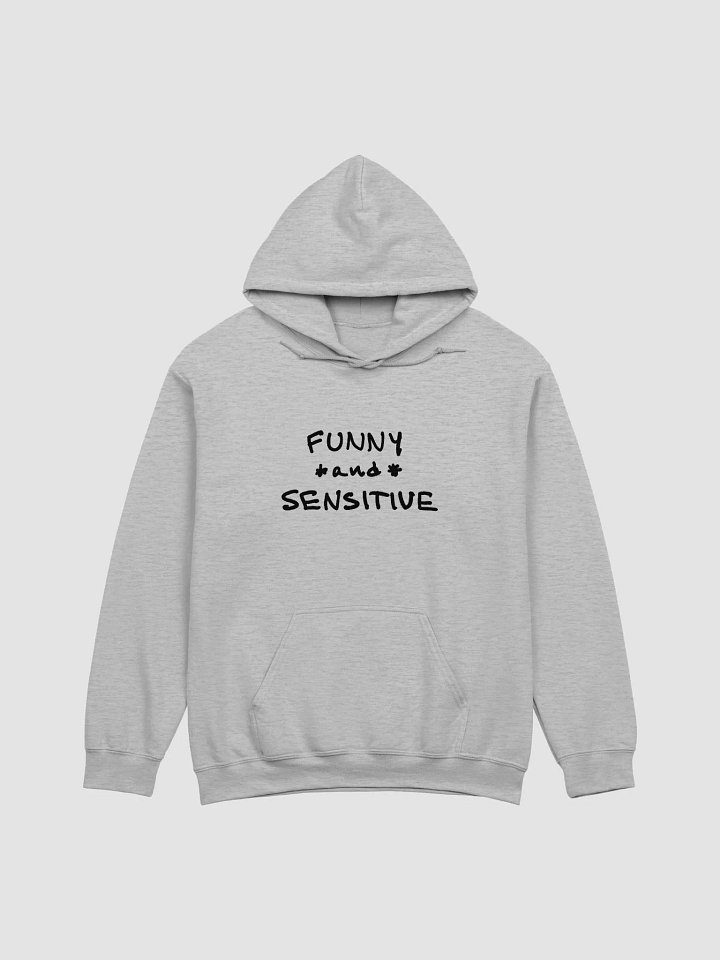 FUNNY *and* SENSITIVE classic hoodie product image (62)