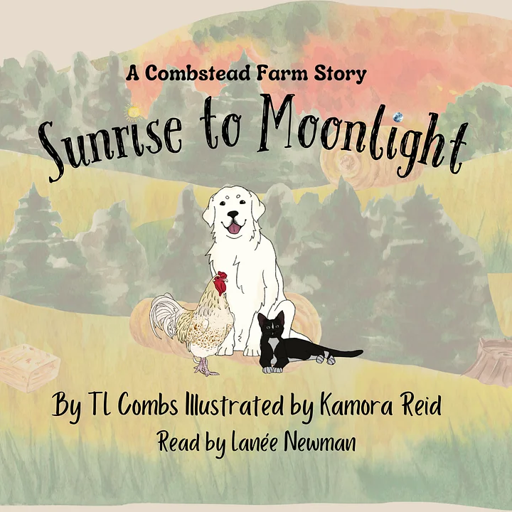 Sunrise to Moonlight Audiobook product image (1)