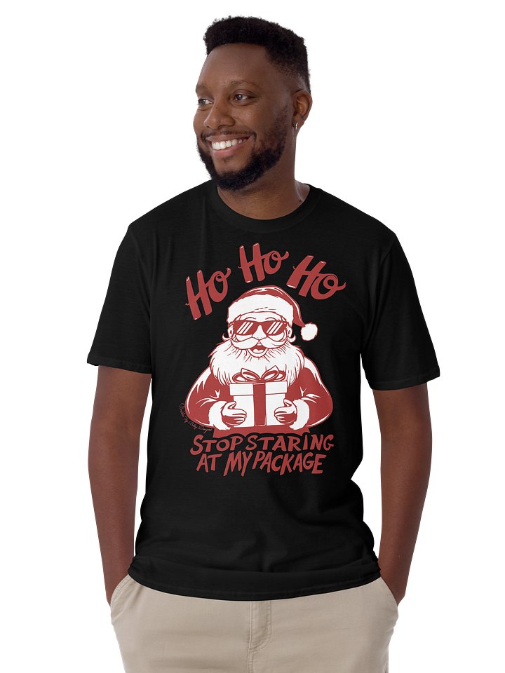 Holiday - Santa - Ho Ho Ho Stop Staring At My Package product image (1)