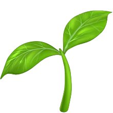 https://storage.googleapis.com/popshopprod-shop-renderer-creators-assets/resources/cb68500e-b914-4456-895d-91e134107f86/f66530c1f361a8342504c592c34dc535_28f7c3743459.webp