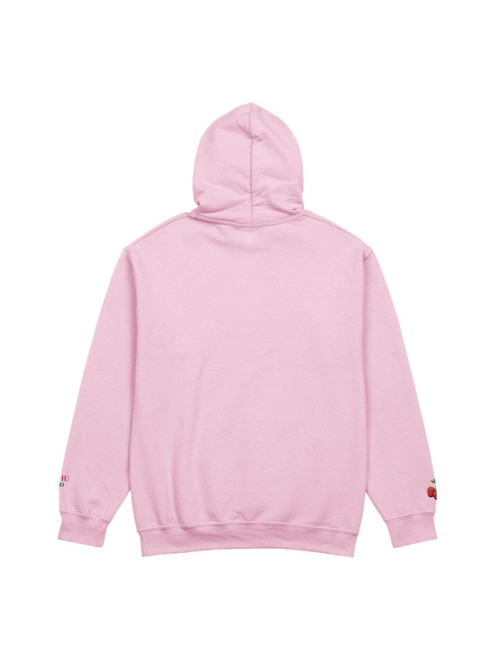 hhu ferals embroidered hoodie product image (2)