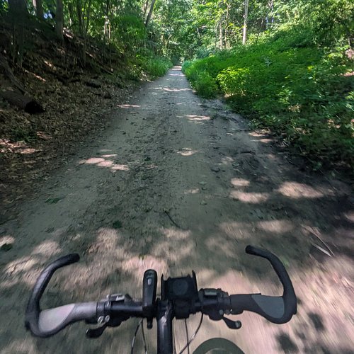 Took a ride out to beloved Walden Pond in Concord, MA yesterday to escape the blazing city heat. I've been visiting this gorg...