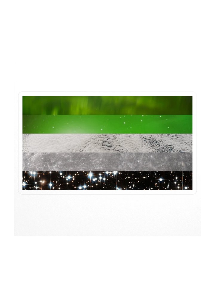 Aro Space Pride Sticker product image (1)