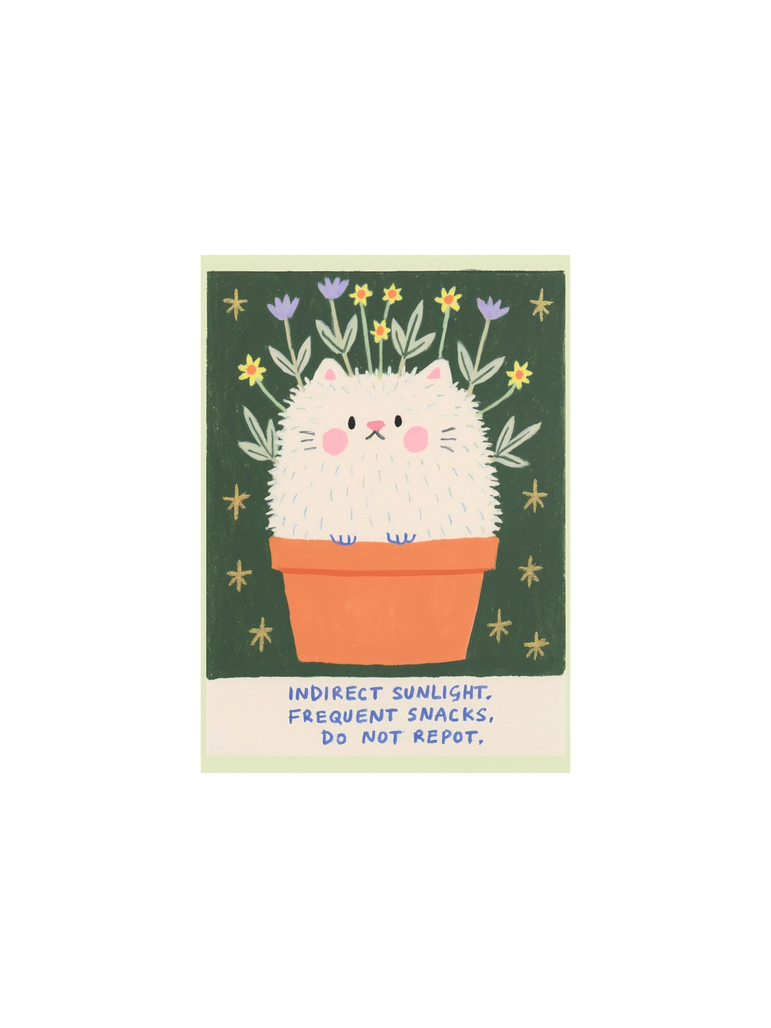 Indirect Sunlight Cat Poster product image (2)