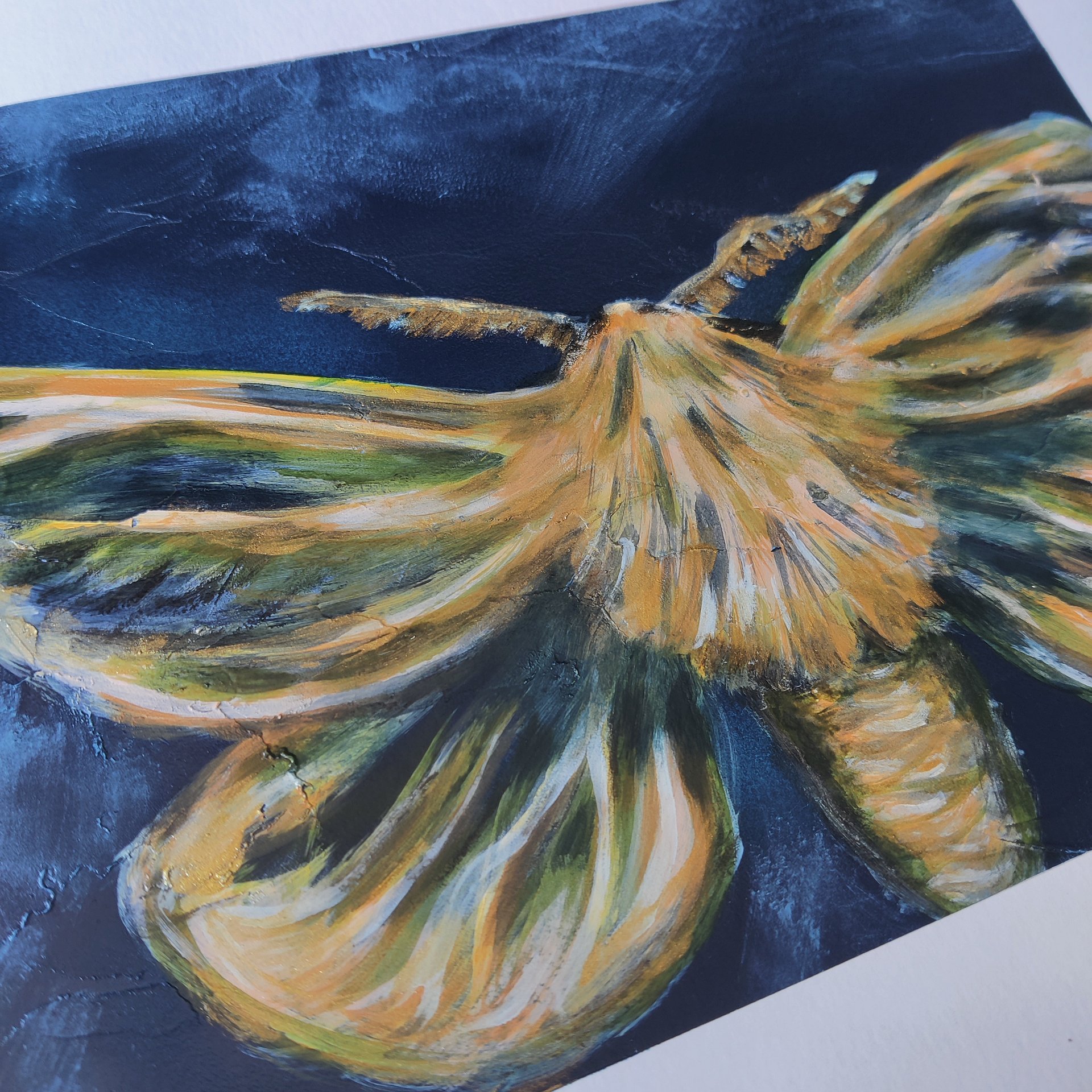 Moth Collection product image (3)