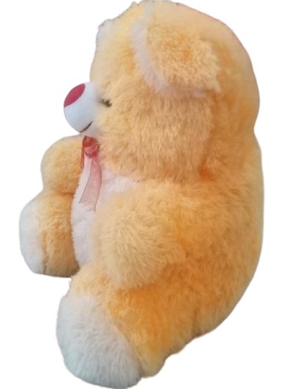 TEDDY BEAR product image (2)