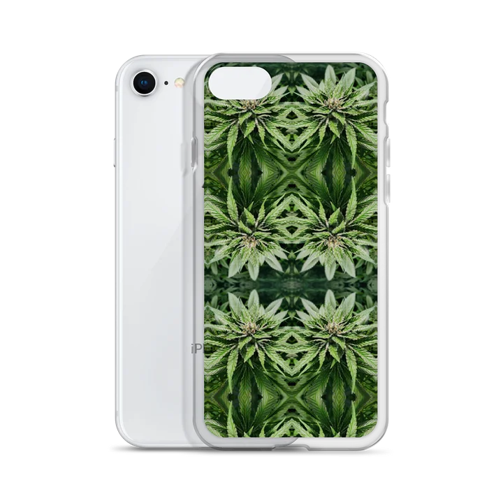 Phyllotaxis Sacra product image (2)