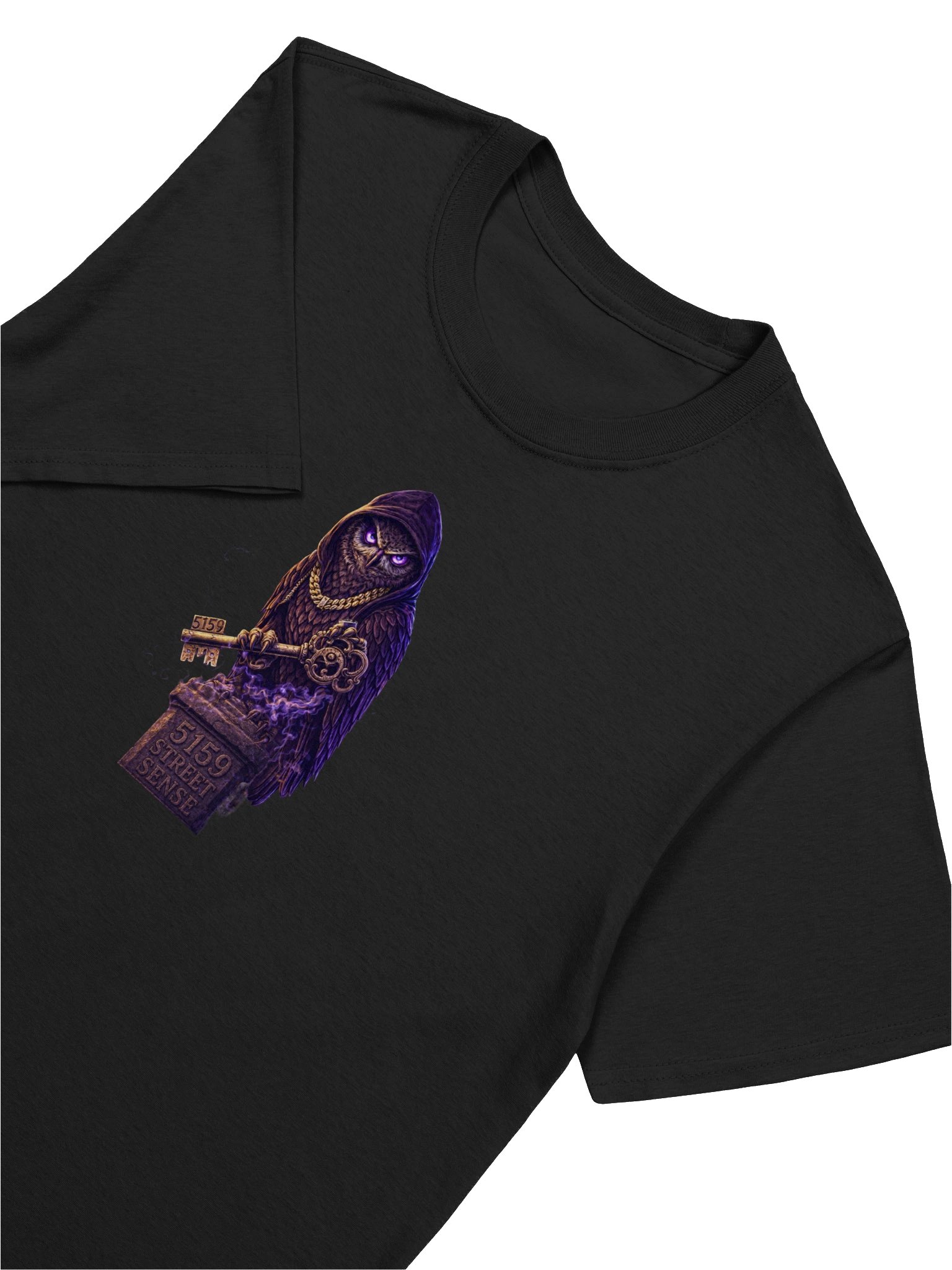 5159 Owl Key (Unisex) T-Shirt product image (7)