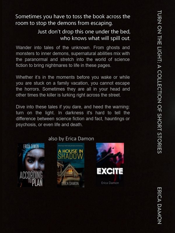 Turn on the Light (ebook) product image (3)