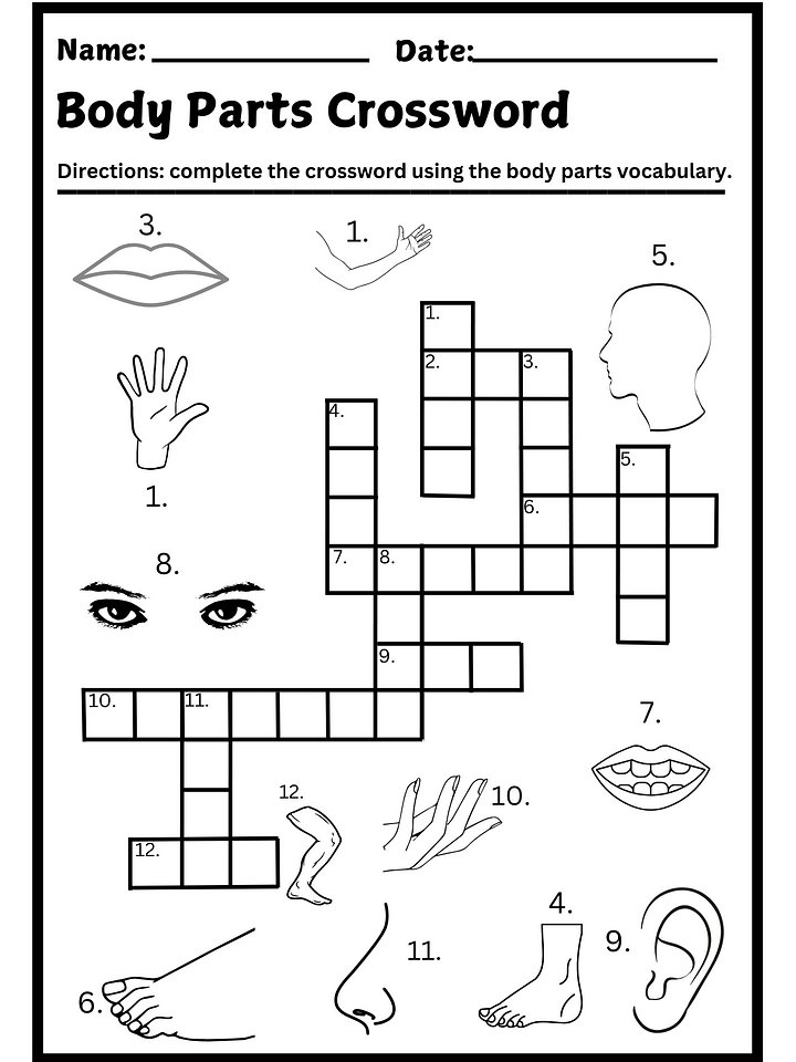 Body Parts Crossword Puzzle Printable product image (1)