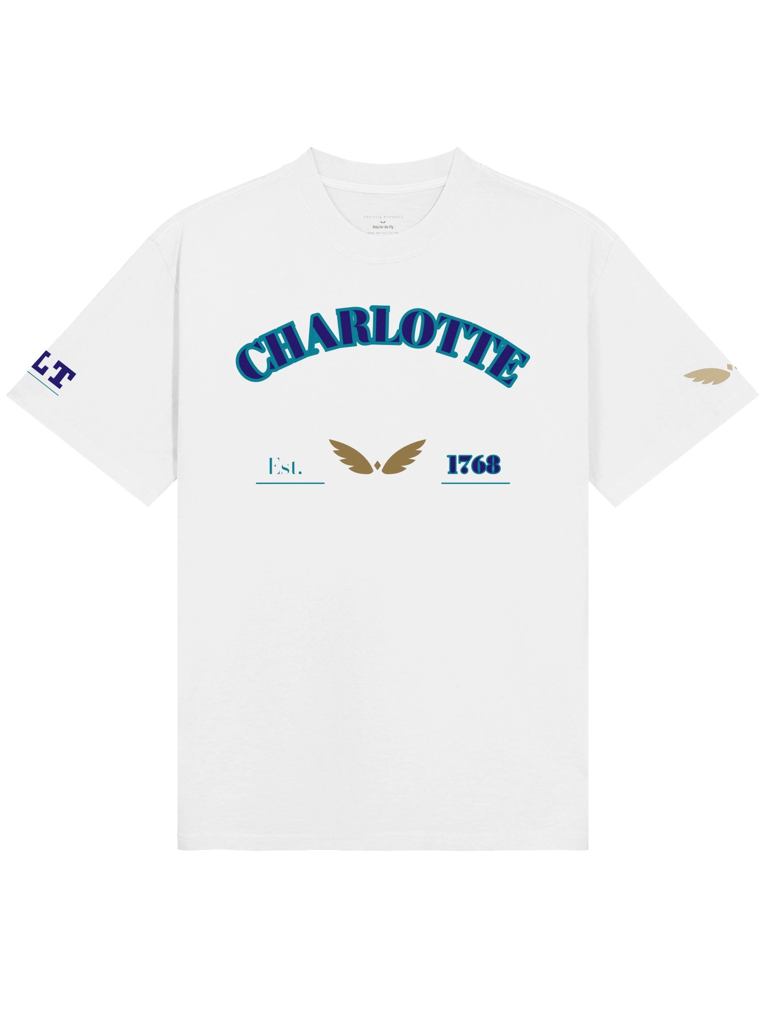 GAME DAY — Charlotte · Tee · Faded White product image (1)