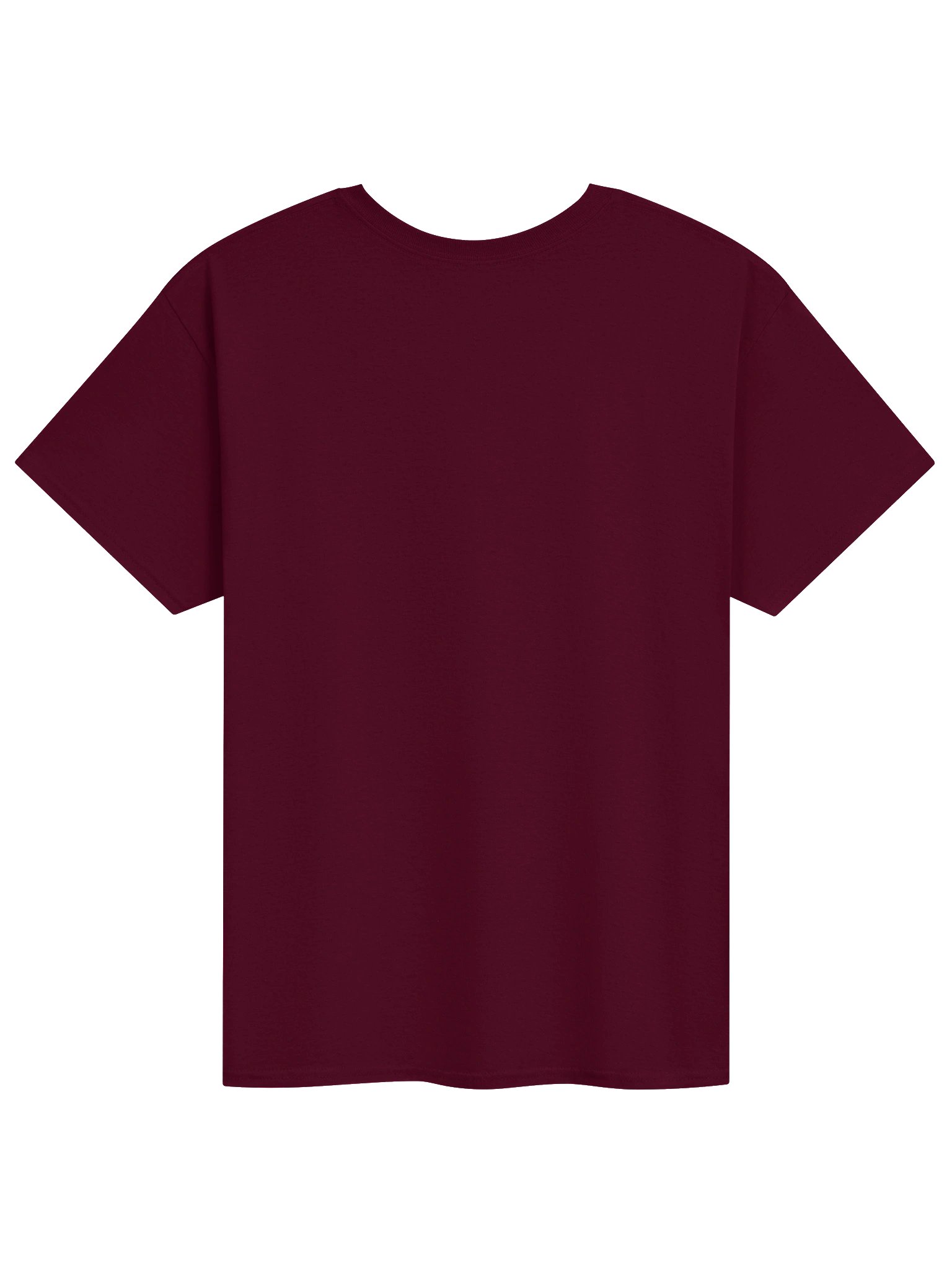 Eau Galle Scenic Railway (slightly smaller logo) Tee product image (2)