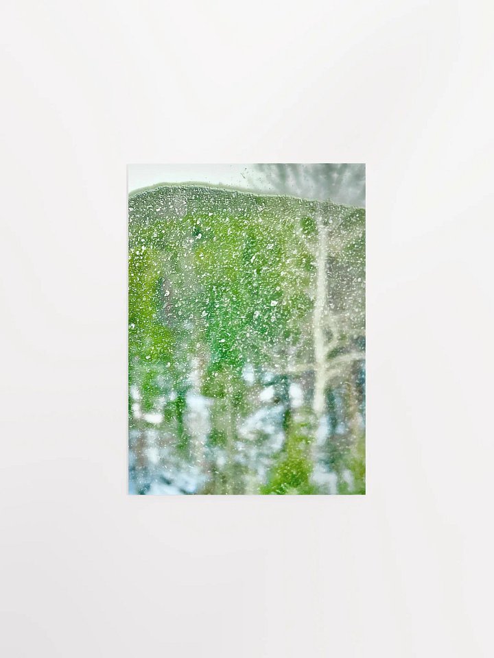 Abstract RMNP Trees in the Snow product image (2)