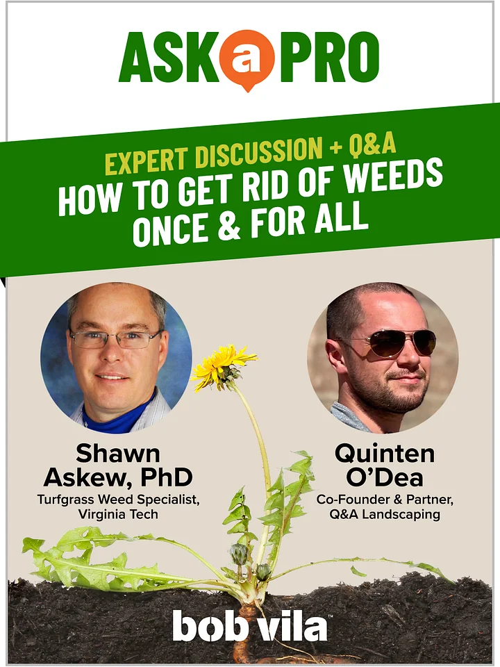 How to Get Rid of Weeds Once & For All product image (1)