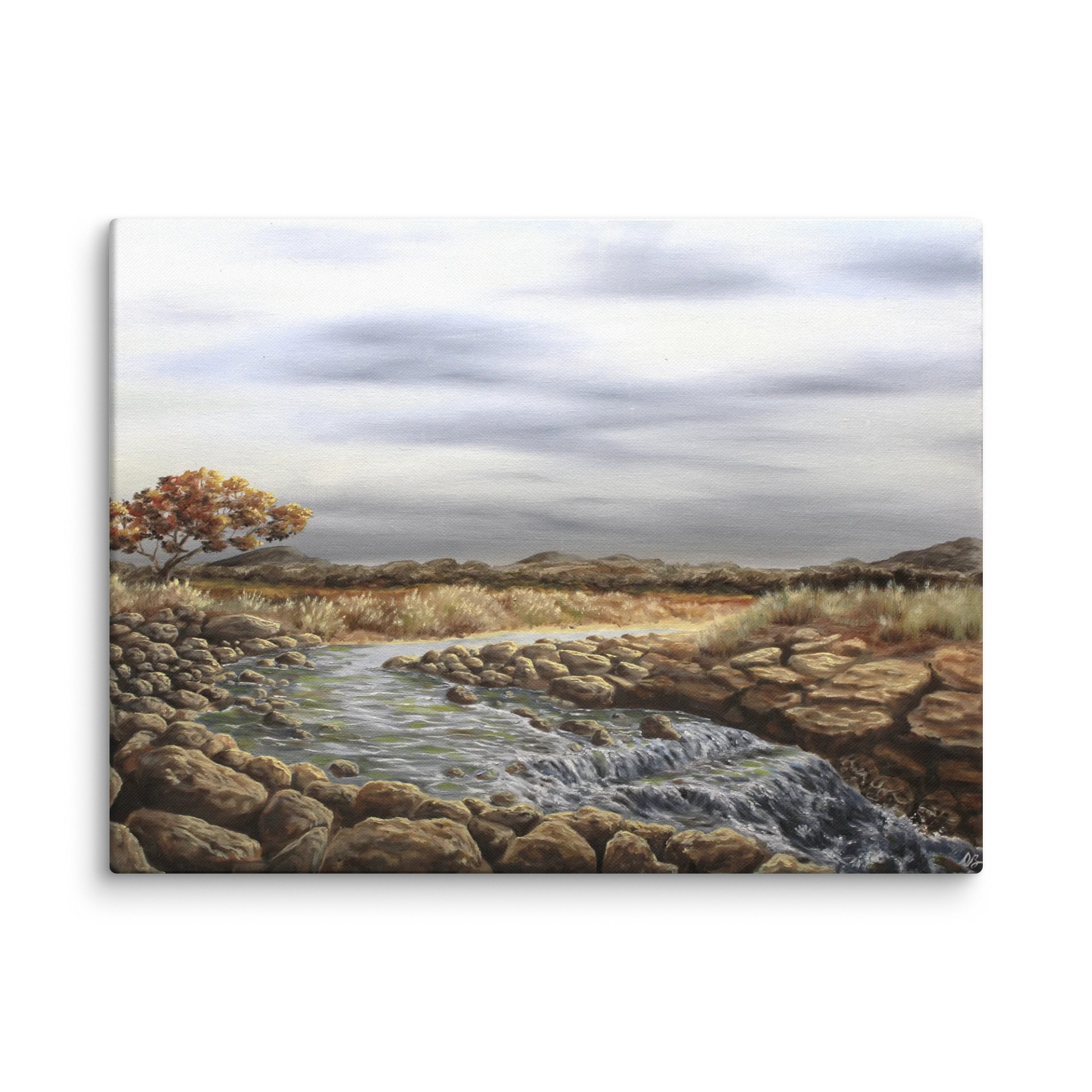 Arid Creek product image (1)