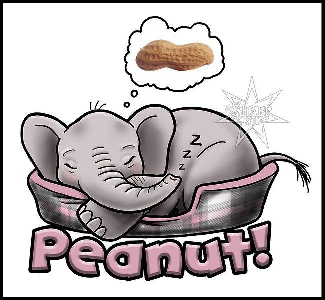 Sleepy Peanut