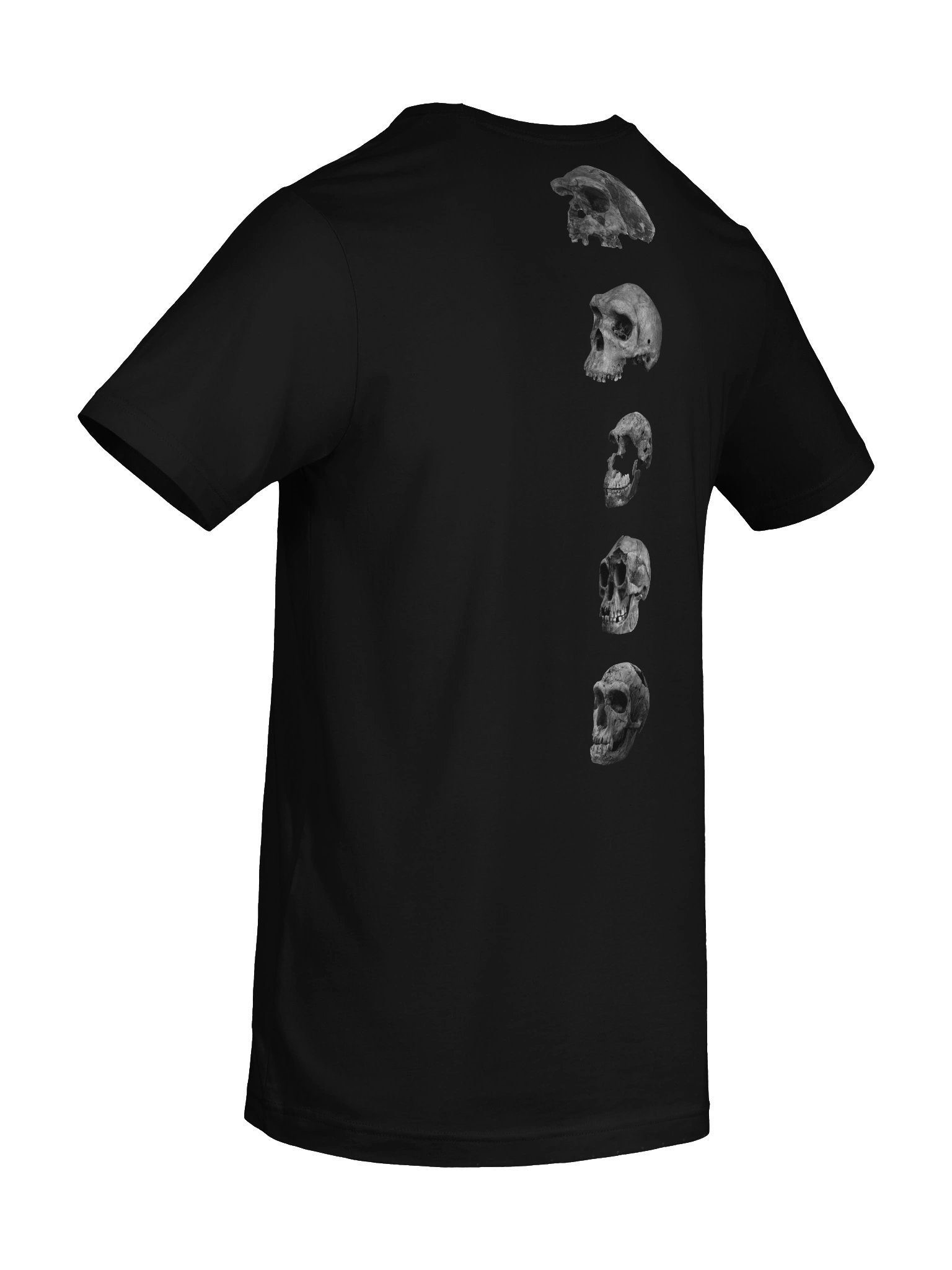 Skull Collection T-Shirt Dark product image (8)