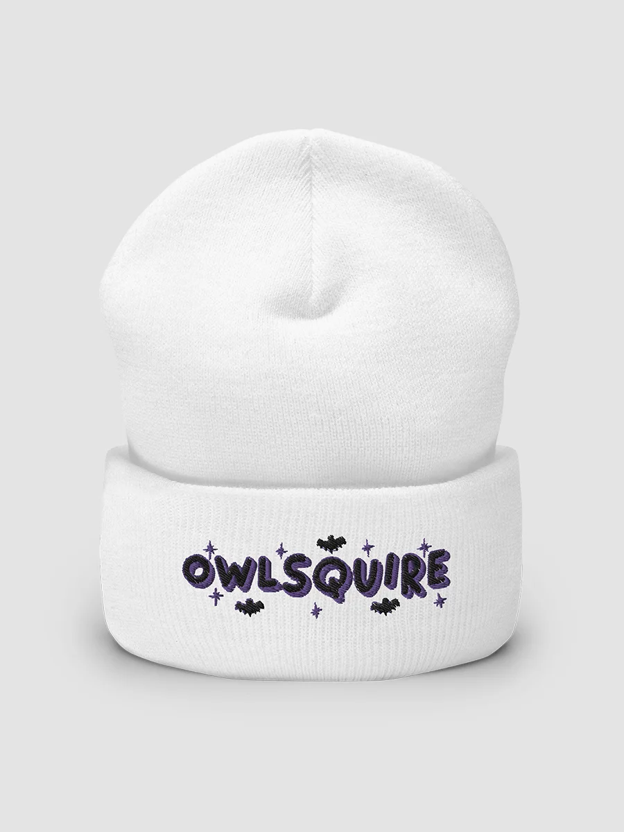BATS Beanie (2022) product image (1)