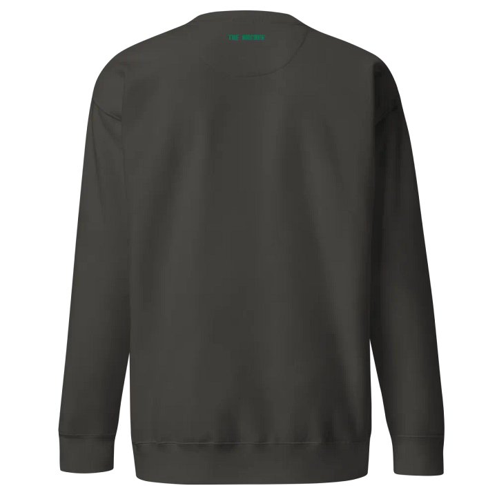 Glucose Guardian ∙ Embroidered Sweatshirt product image (18)