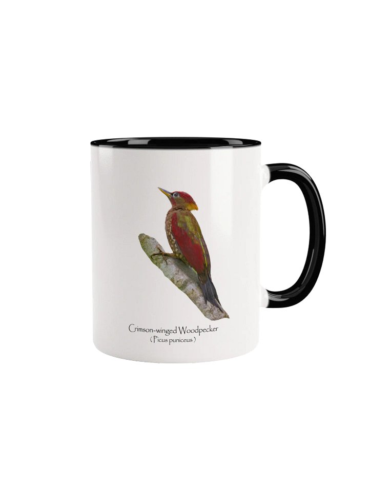 Crimson-winged Woodpecker mug product image (1)