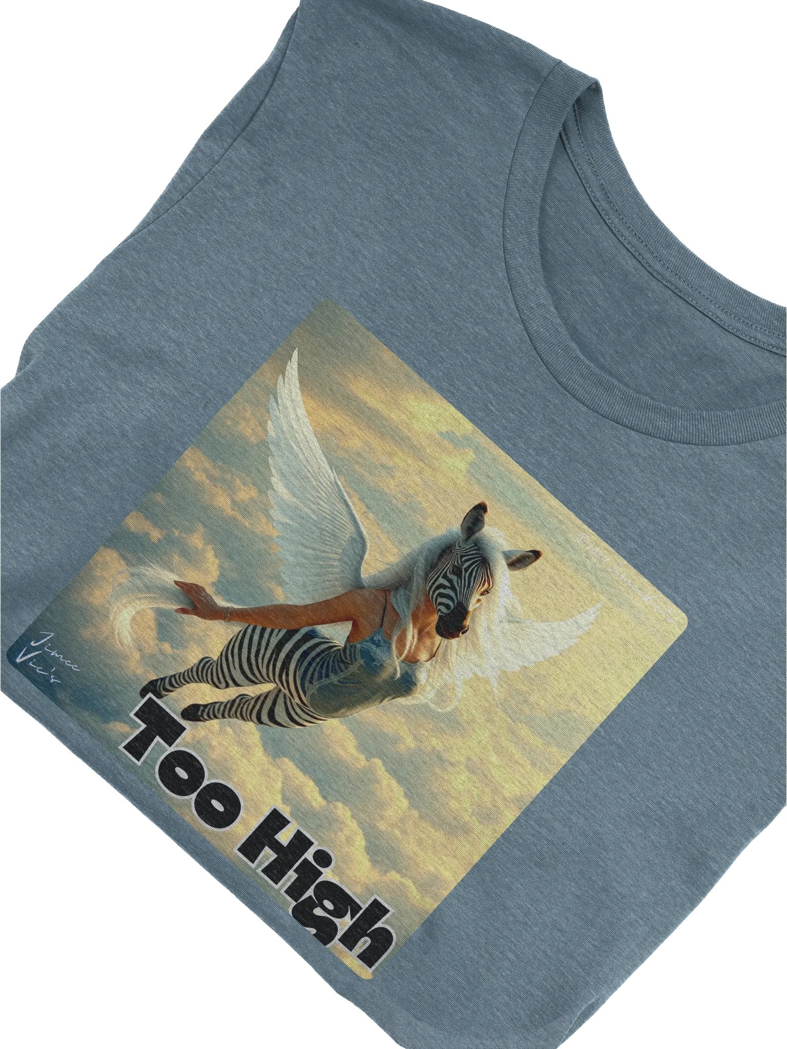 Too High - Flying Zebra Damsel product image (1)