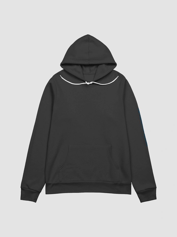 The Psychedelic Squirrel Hoodie Guitar product image (1)
