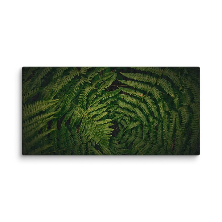 NORTHERN ILLUSIONS - Verdant Silence Canvas Print product image (1)