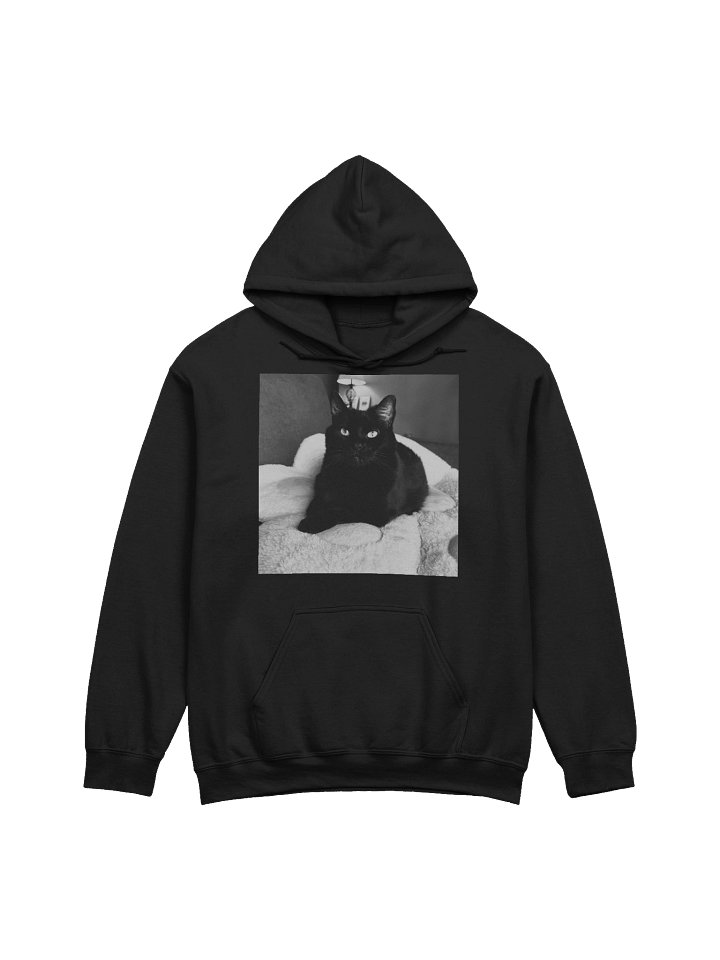Pretty Luna Hoodie product image (1)