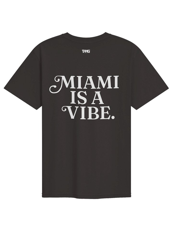 Miami Is A Vibe T-Shirt - Graphite / Seafoam product image (2)