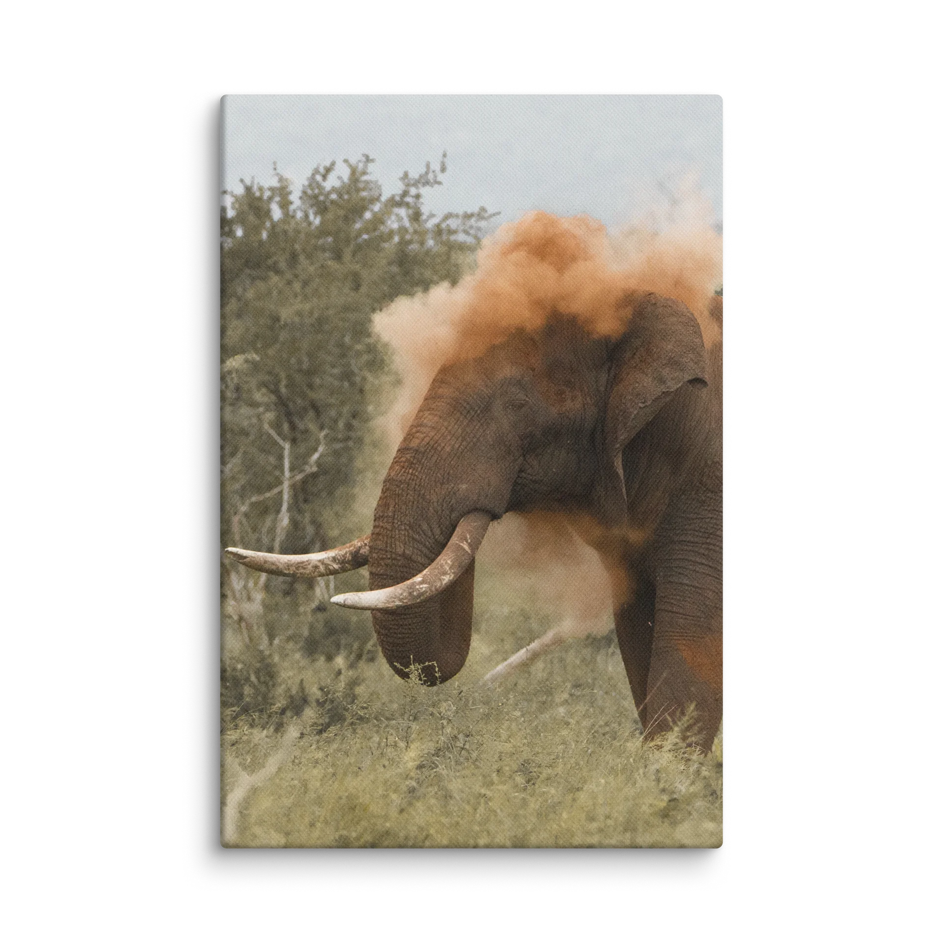 Dust Bath product image (1)
