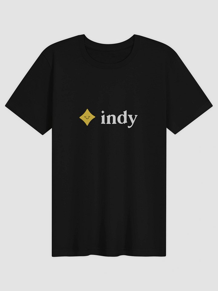Super Soft Indy T-Shirt in Black product image (1)