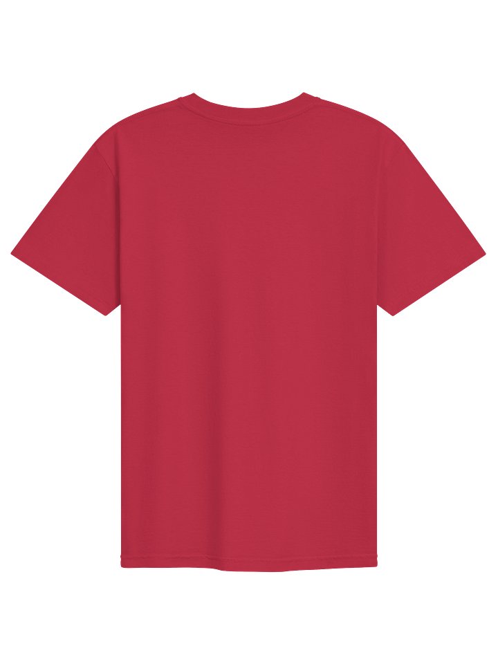 ALASO Haiti 2026 Graphic Tee product image (2)