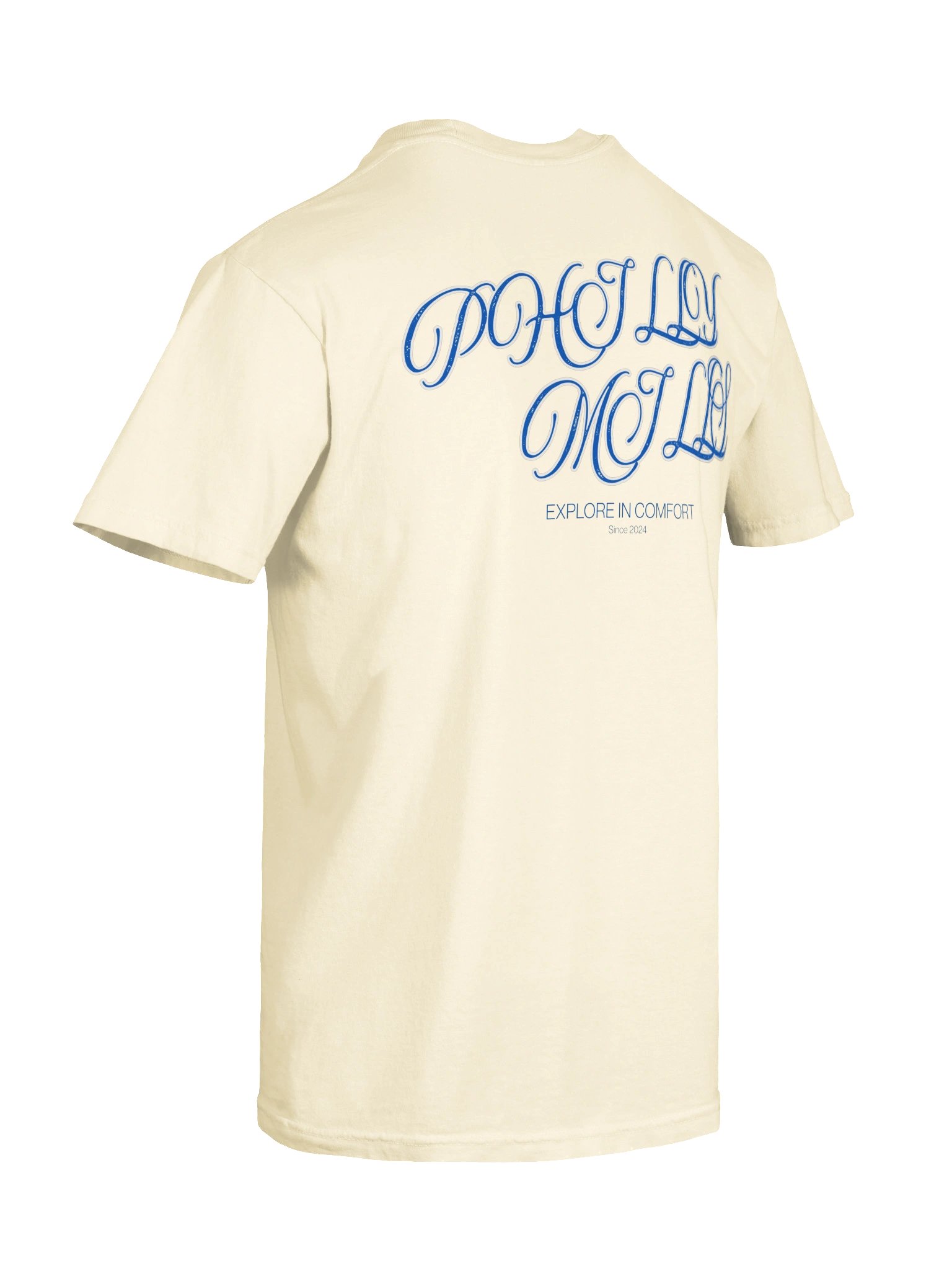 Philly Mills Script Graphic Heavyweight Tee product image (102)