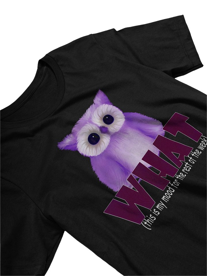 Women's Bella+Canvas Supersoft T-Shirt product image (2)