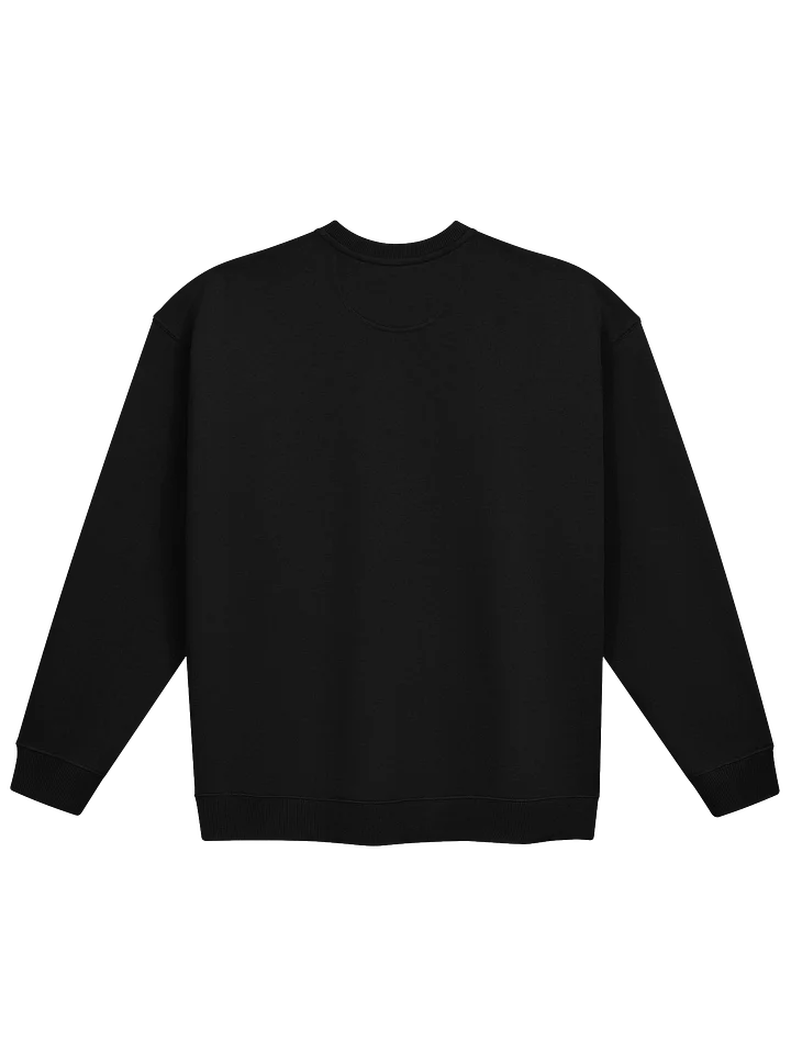 MARCOS CABANAS EMBROIDERED SWEATSHIRT product image (2)