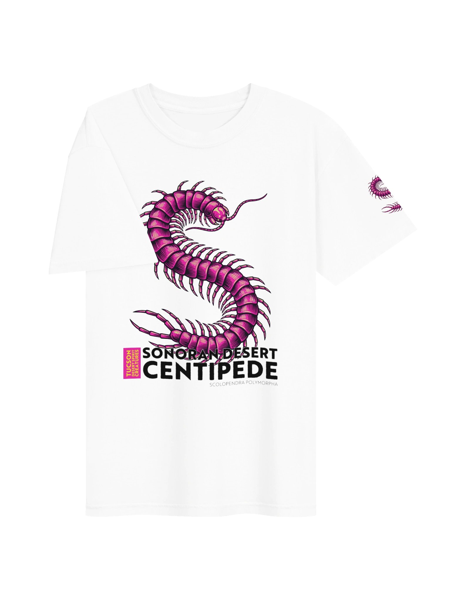 SONORAN DESERT CENTIPEDE product image (165)