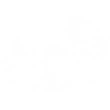 https://storage.googleapis.com/popshopprod-shop-renderer-creators-assets/resources/696c4abc-43ed-46e3-95f5-3c19691effcf/a4c4b1fee6310feb39eb95c773cb1f58_51986c3b1e22.png