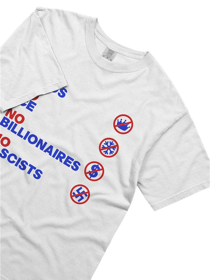 NO KINGS, NO ICE, NO BILLIONAIRES, NO FASCISTS product image (2)