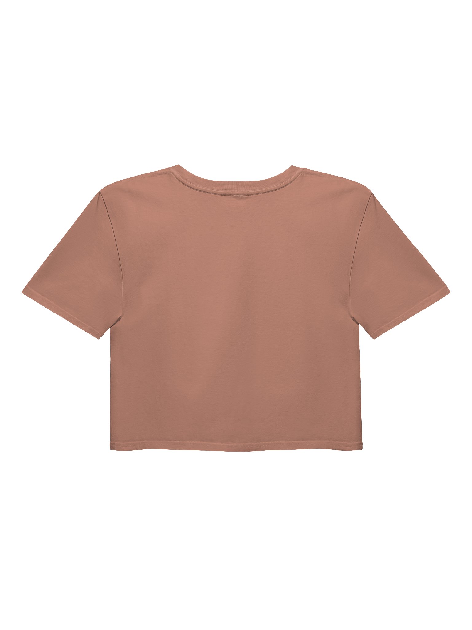 Classic Brownishh Crop Top (Tan) product image (2)