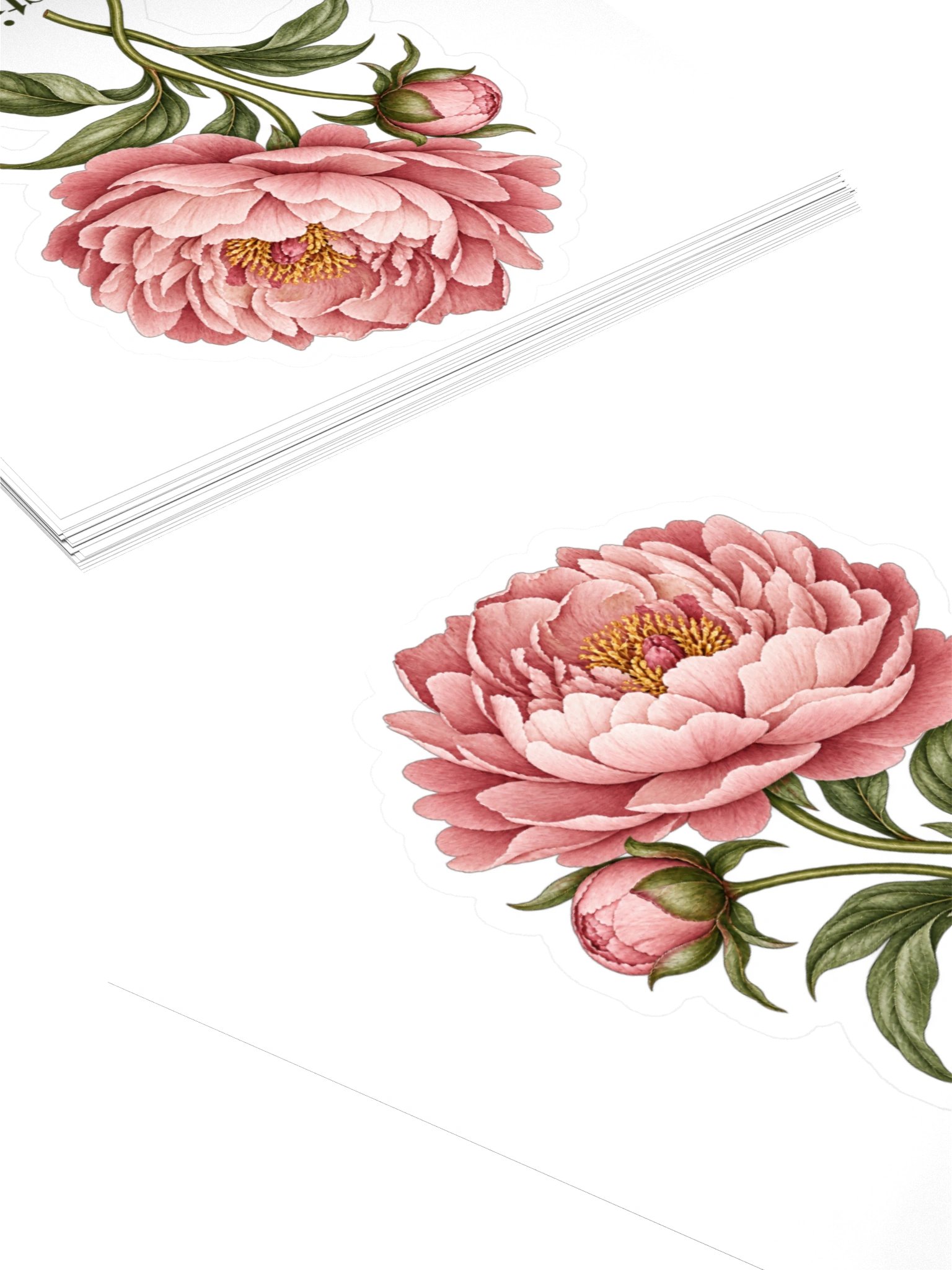 Blush Peony | Momnasticism Botanical Sticker product image (10)