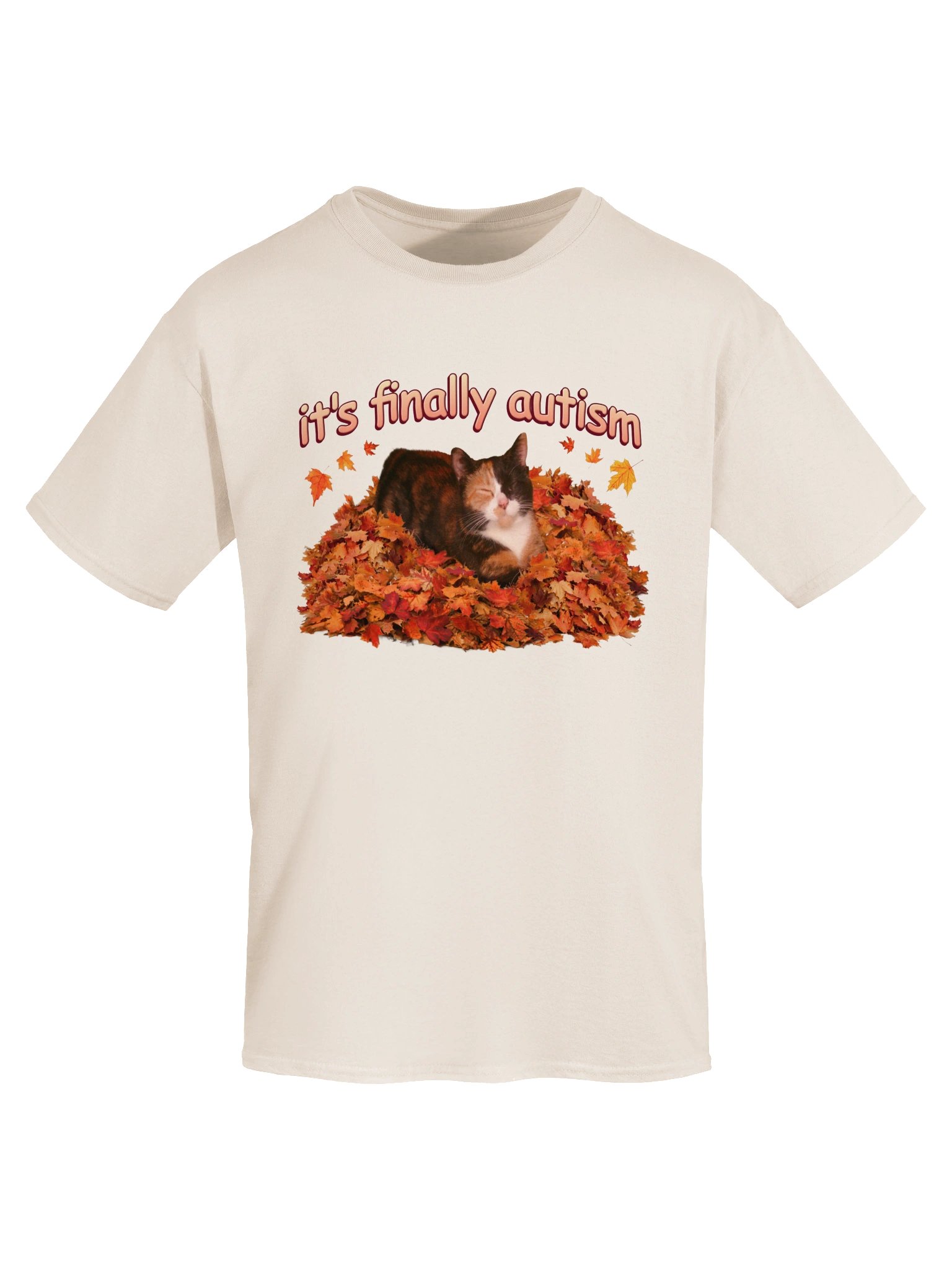 It's Finally Autism Autumn Cat T-shirt product image (5)