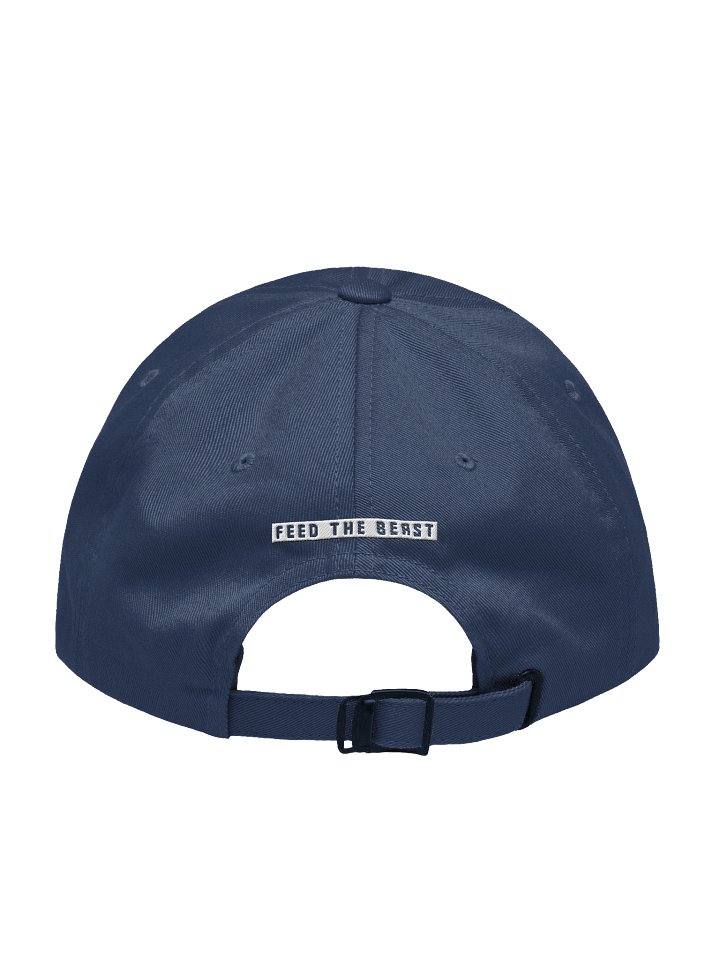 FTB Cap product image (5)