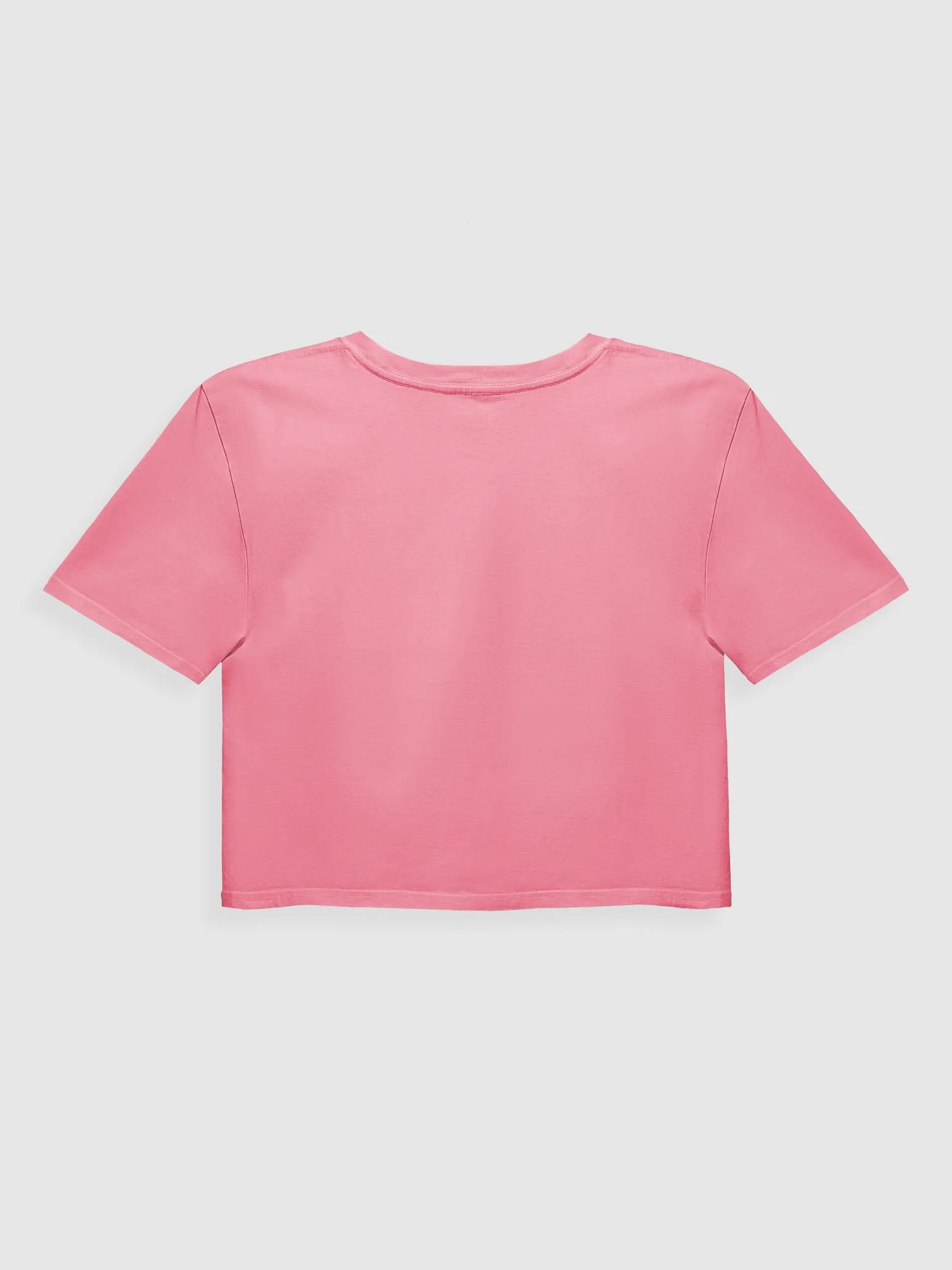 Rabbit - Cropped product image (2)