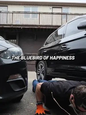 Go for what you want, who gives a f*ck? No bluebirds coming to rescue. Knock on your door. #motivation #motivational #nooneiscoming #mentaltoughness #selfdiscipline Merch shop is now open — check it out! Link in bio: https://dj-flanman-shop.fourthwall.com/