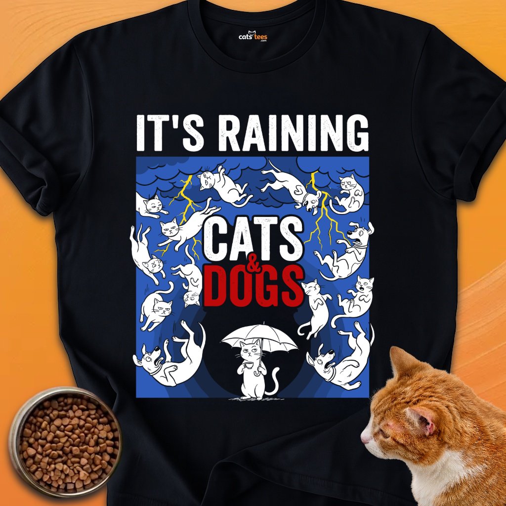 It's Raining product image (1)